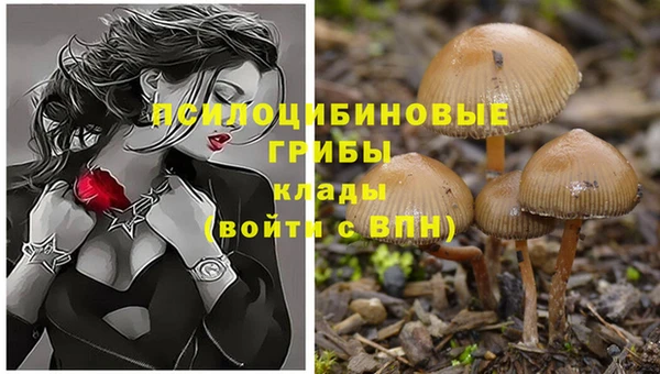 соль курить ск Володарск